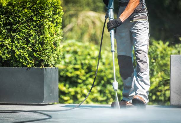 Best Dumpster Area Cleaning  in Clemson University, SC