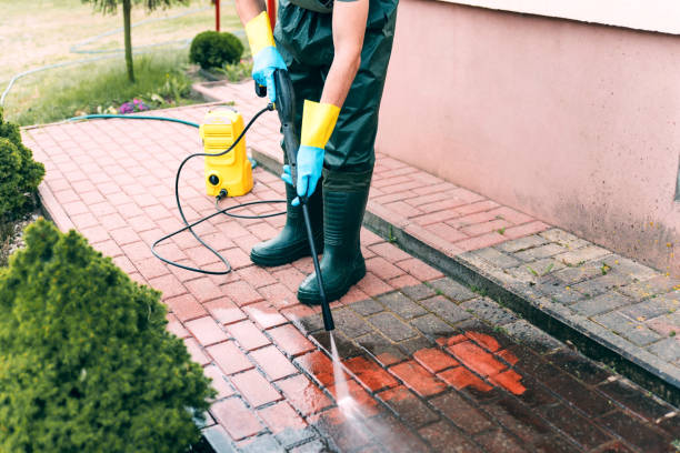 Best Building Exterior Washing  in Clemson University, SC