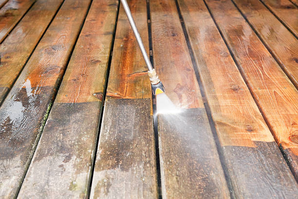 Animal Enclosure Cleaning in Clemson University, SC